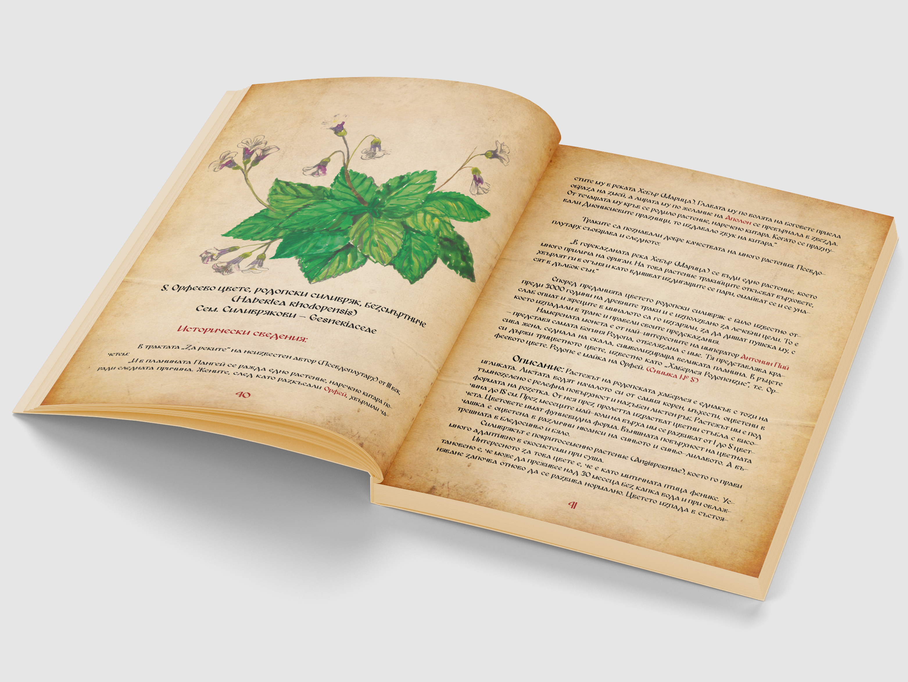 "История за билките от времето на траките", корица и илюстрации от Диляна Колева