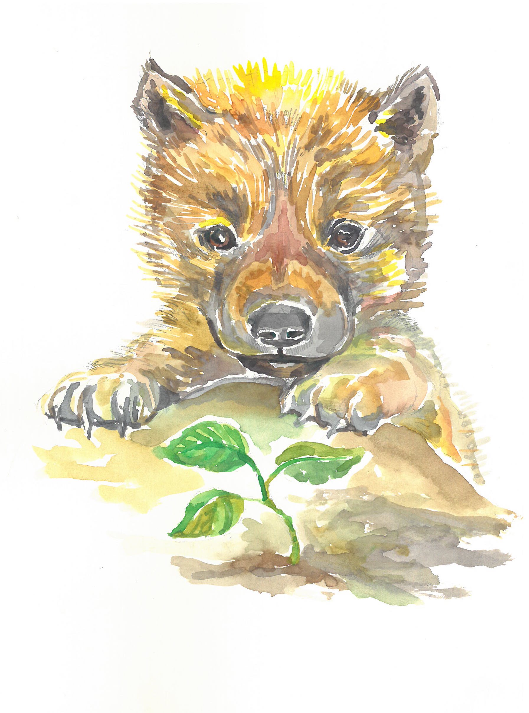 Картичка вълче, акварел, художник Диляна Колева